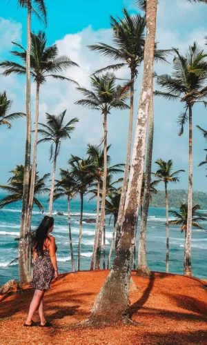 Coconut Tree Hill - Mirissa